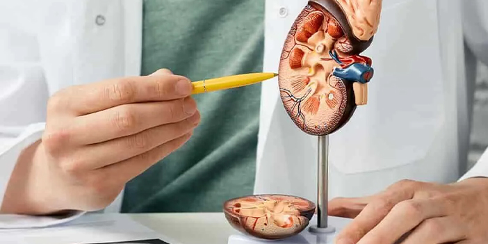 Böbrek kanseri riskine dikkat!