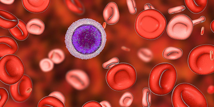 Hemofili belirtilerine dikkat!