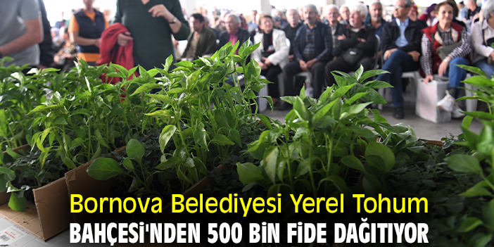 Bornova Belediyesi Yerel Tohum Bahçesi'nden 500 bin fide dağıtıyor
