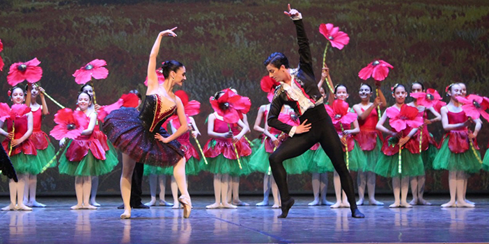 Bale gösterisi hayran bıraktı