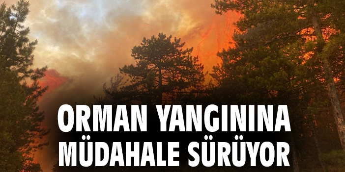 Orman yangınına müdahale sürüyor
