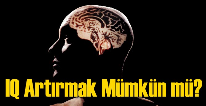 IQ Artırmak Mümkün mi?