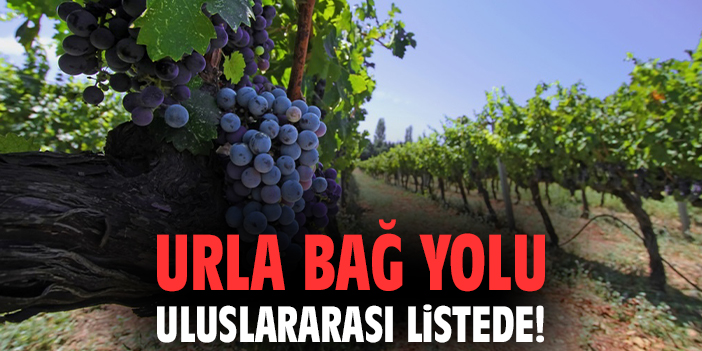 Urla Bağ Yolu uluslararası listede!