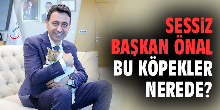 Sessiz Başkan Önal bu köpekler nerede?