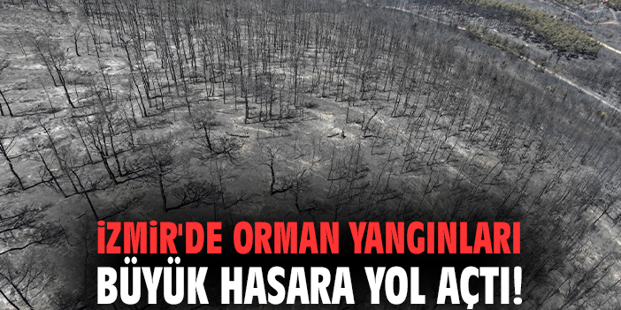 İzmir'de orman yangınları büyük hasara yol açtı!