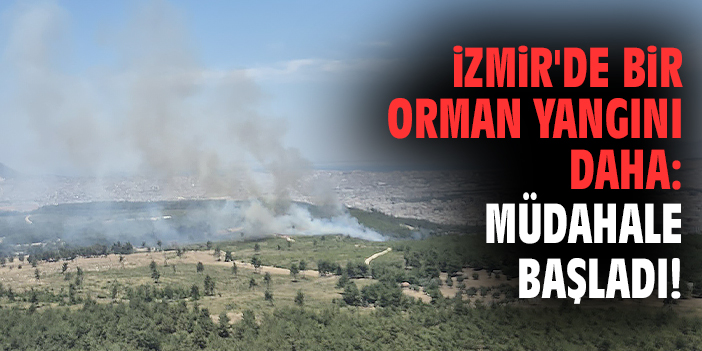İzmir'de bir orman yangını daha: Müdahale başladı!