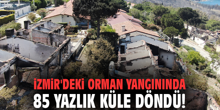 İzmir'deki orman yangınında 85 yazlık küle döndü!