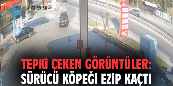 Tepki çeken görüntüler: Sürücü köpeği ezip kaçtı