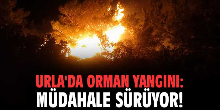 Urla'da orman yangını: Müdahale sürüyor!