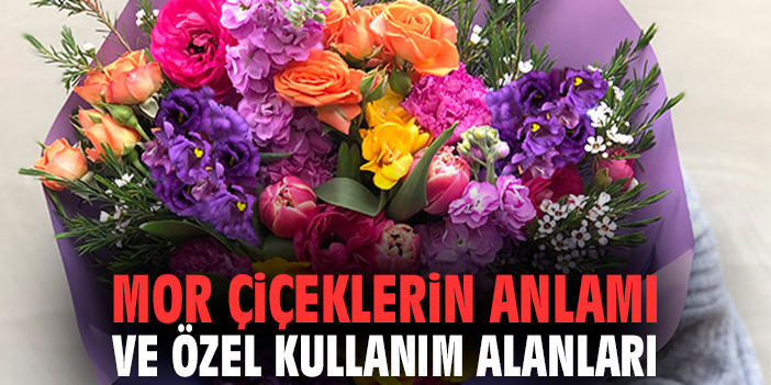 Mor çiçeklerin anlamı ve özel kullanım alanları