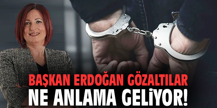 Başkan Erdoğan gözaltılar ne anlama geliyor!