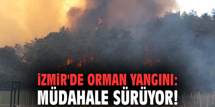 İzmir'de orman yangını: Müdahale sürüyor