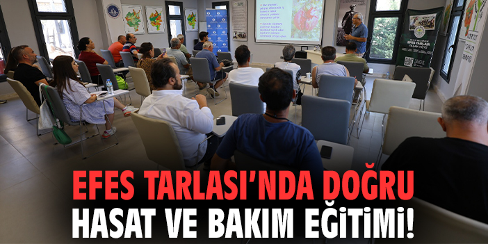 Efes Tarlası’nda doğru hasat ve bakım eğitimi
