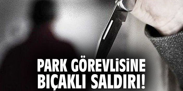 Park görevlisine bıçaklı saldırı!