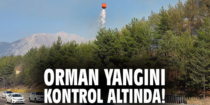 Orman yangını kontrol altında!