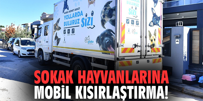 Sokak hayvanlarına mobil kısırlaştırma!