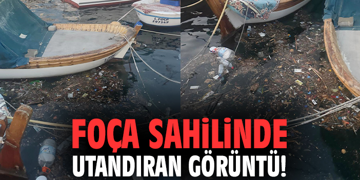 Foça sahilinde utandıran görüntü!