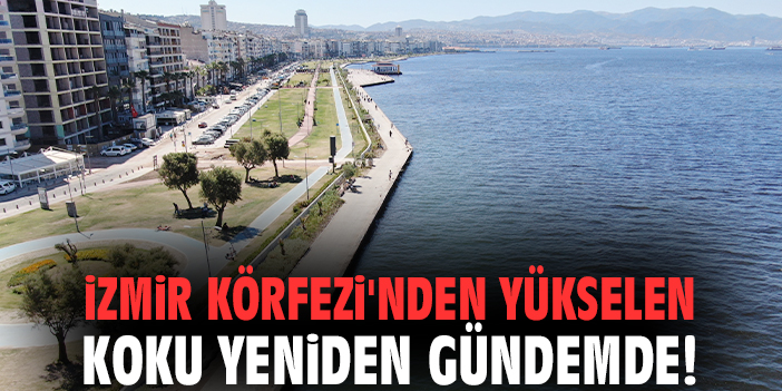 İzmir Körfezi'nden yükselen koku yeniden gündemde!