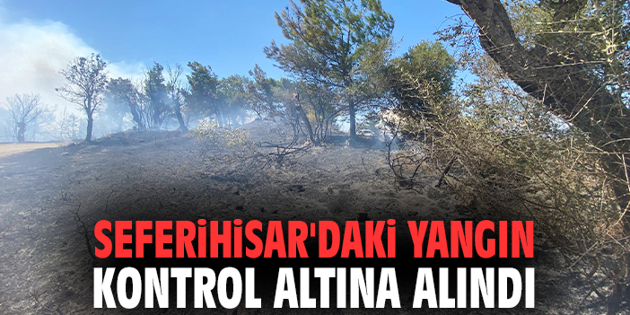 Seferihisar'daki yangın kontrol altına alındı