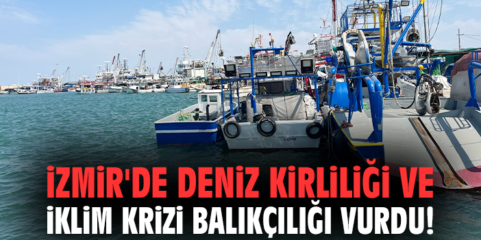 İzmir'de deniz kirliliği ve iklim krizi balıkçılığı vurdu!
