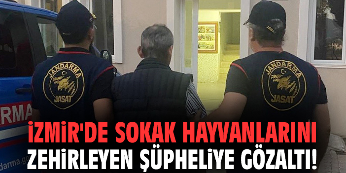 İzmir'de sokak hayvanlarını zehirleyen şüpheliye gözaltı!