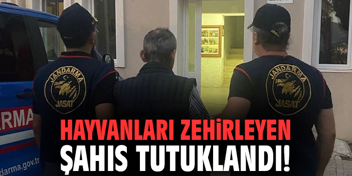 Hayvanları zehirleyen şahıs tutuklandı!