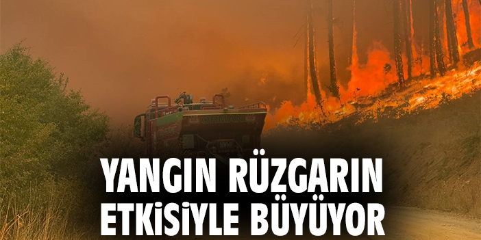 Yangın rüzgarın etkisiyle büyüyor
