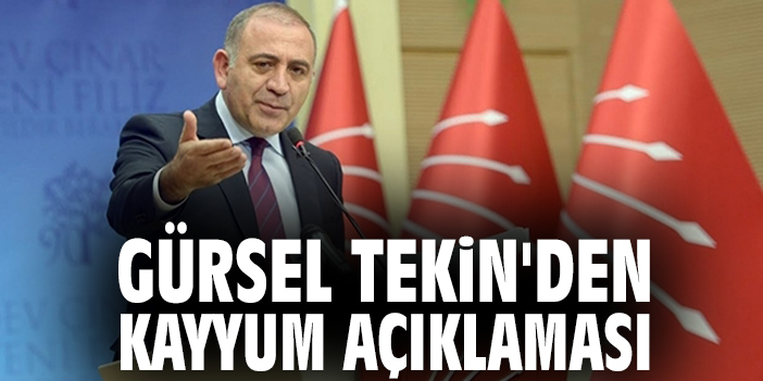 Gürsel Tekin'den kayyum açıklaması