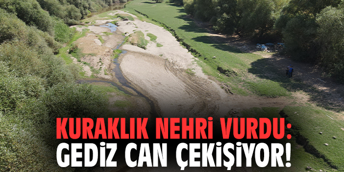 Kuraklık nehri vurdu: Gediz can çekişiyor!
