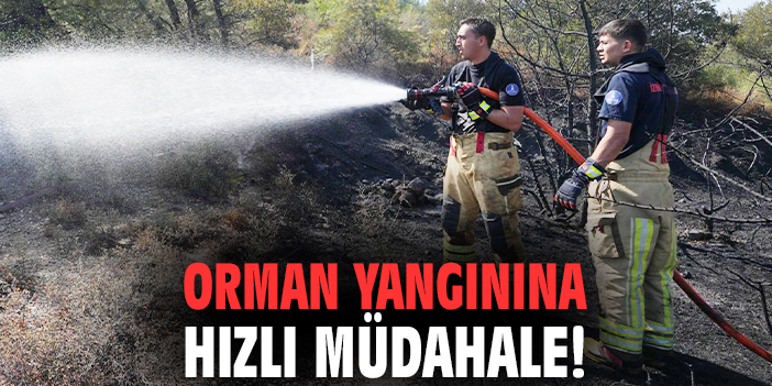 Orman yangınına hızlı müdahale!