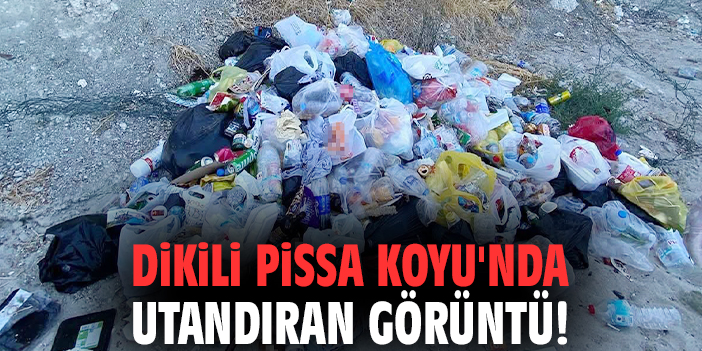 Dikili Pissa Koyu'nda utandıran görüntü!
