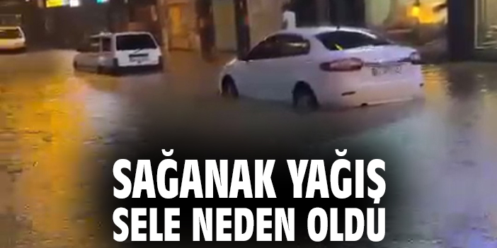 Sağanak yağış sele neden oldu
