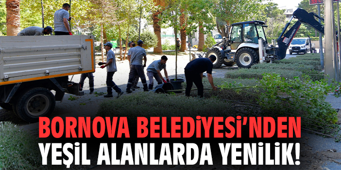 Bornova Belediyesi’nden yeşil alanlarda yenilik!