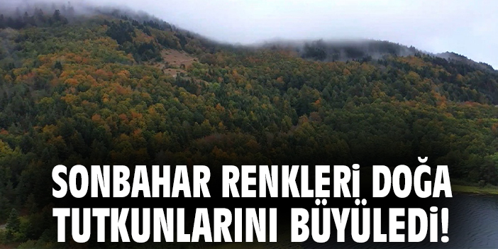 Sonbahar renkleri doğa tutkunlarını büyüledi