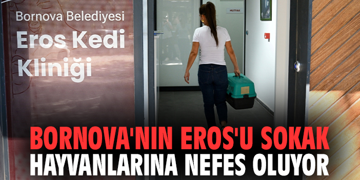 Bornova'nın Eros'u sokak hayvanlarına nefes oluyor
