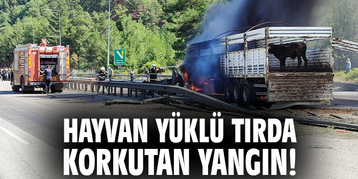 Hayvan yüklü tırda korkutan yangın!