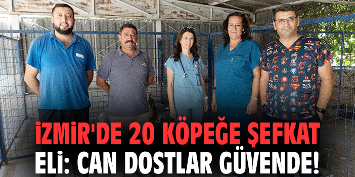 İzmir'de 20 köpeğe şefkat eli: Can dostlar güvende!