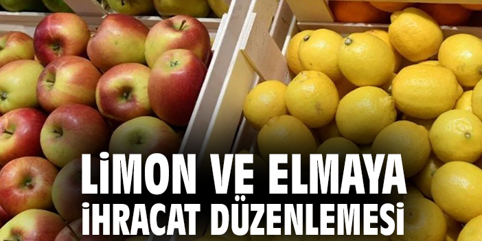 Limon ve elmaya ihracat düzenlemesi