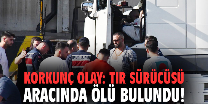 Korkunç olay: Tır sürücüsü aracında ölü bulundu!