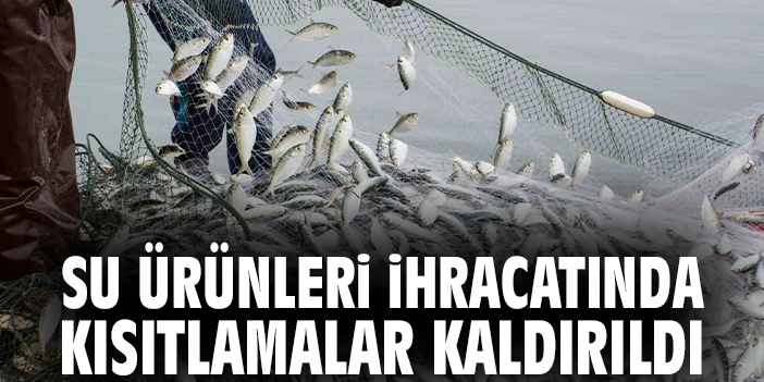 Su ürünleri ihracatında kısıtlamalar kaldırıldı