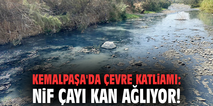 Kemalpaşa'da çevre katliamı: Nif Çayı kan ağlıyor!