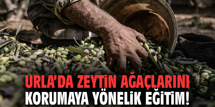 Urla’da zeytin ağaçlarını korumaya yönelik eğitim