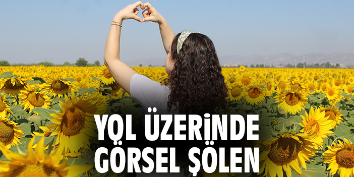Yol üzerinde görsel şölen