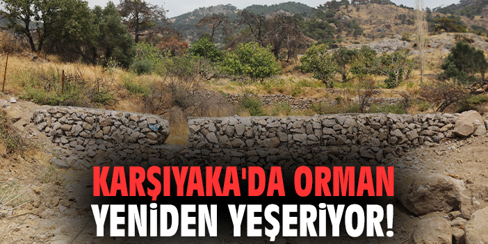 Karşıyaka'da orman yeniden yeşeriyor!