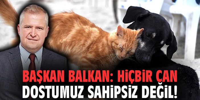 Başkan Balkan: Hiçbir can dostumuz sahipsiz değil!