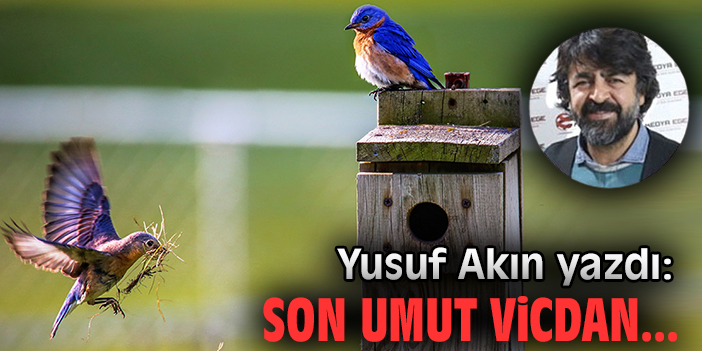Son umut vicdan...