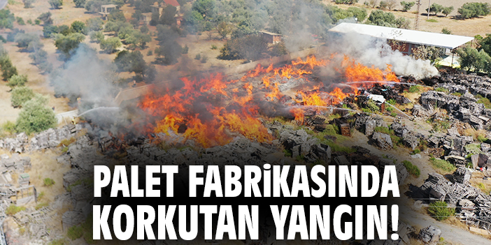 Palet fabrikasında korkutan yangın!
