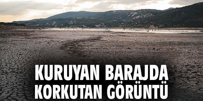 Kuruyan barajda korkutan görüntü