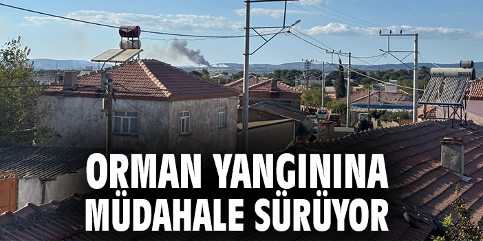 Orman yangınına müdahale sürüyor