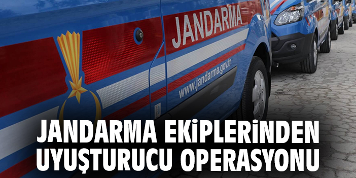Jandarma ekiplerinden uyuşturucu operasyonu